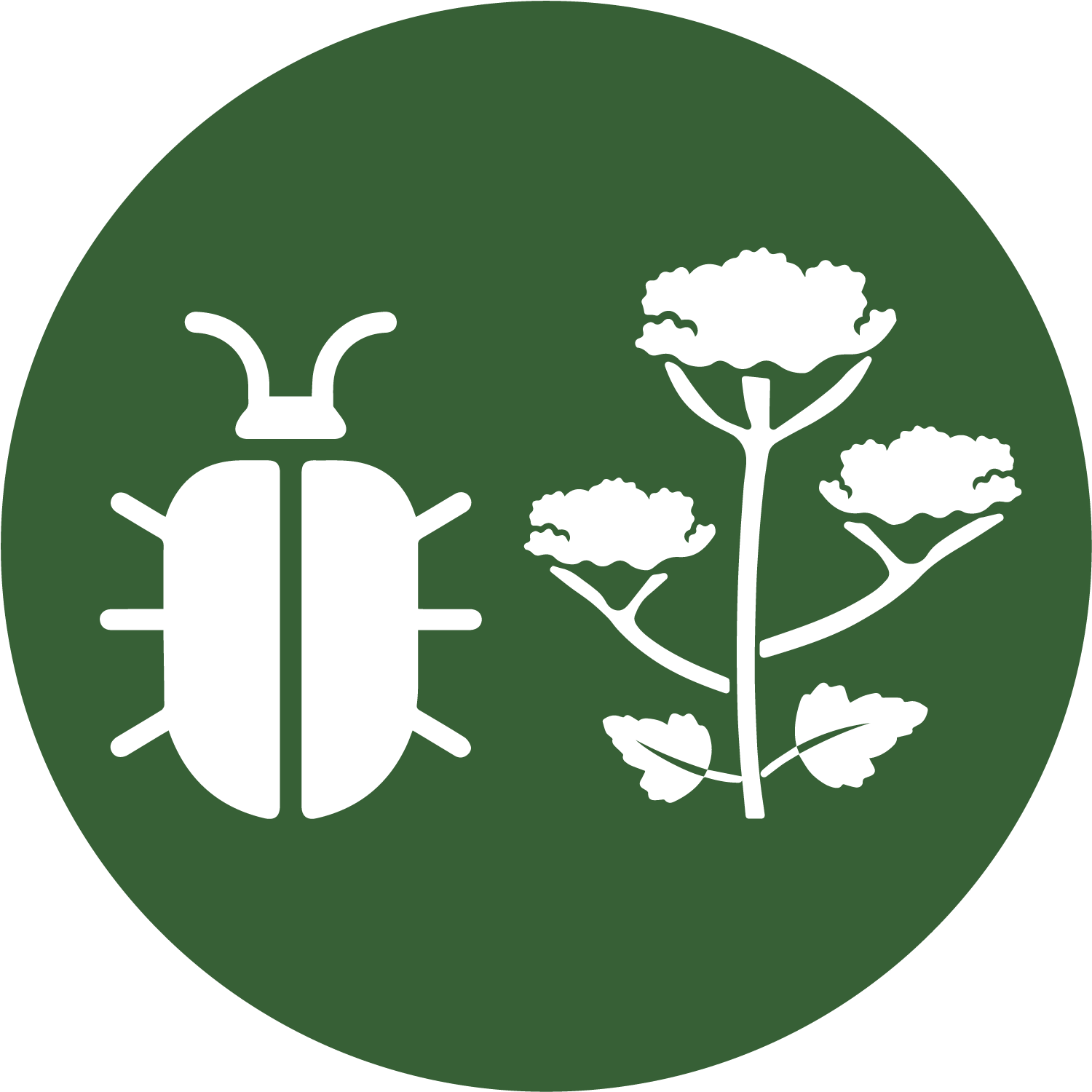 Icon für Schädlingskalamitäten und invasive Arten.